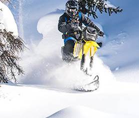 TIMBERSLED